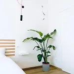M4 White Monolocale Moderno E Funzionale * Scandicci