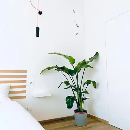 M4 White Monolocale Moderno E Funzionale * Scandicci